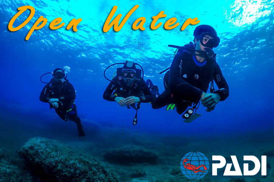 OPEN WATER DIVER