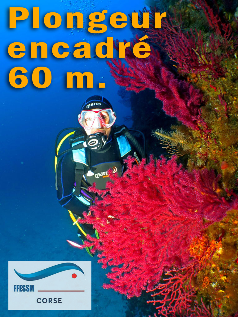 Plongeur encadré 60m. (PE60)