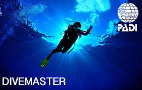 DIVEMASTER